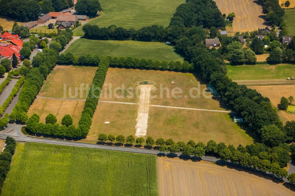 Haltern am See von oben - Baumreihe an einem Feldrand in Haltern am See im Bundesland Nordrhein-Westfalen, Deutschland