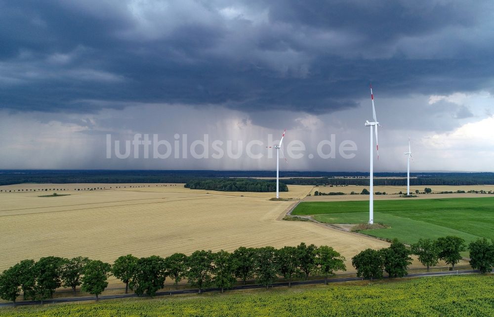 Luftaufnahme Petersdorf - Baumreihe an einem Feldrand in Petersdorf im Bundesland Brandenburg, Deutschland