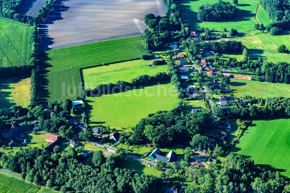 Reith von oben - Baumreihe an einem Feldrand in Reith im Bundesland Niedersachsen, Deutschland