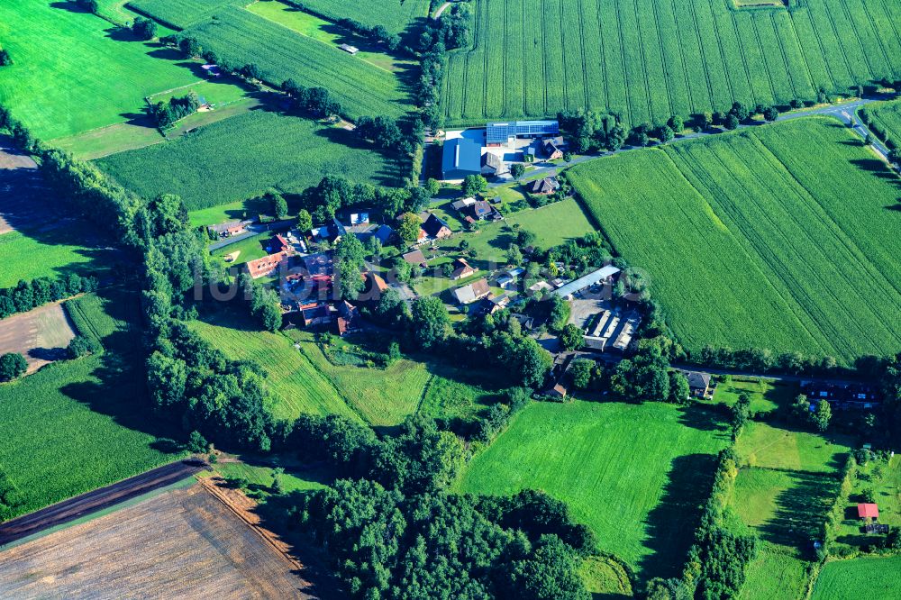 Reith aus der Vogelperspektive: Baumreihe an einem Feldrand in Reith im Bundesland Niedersachsen, Deutschland