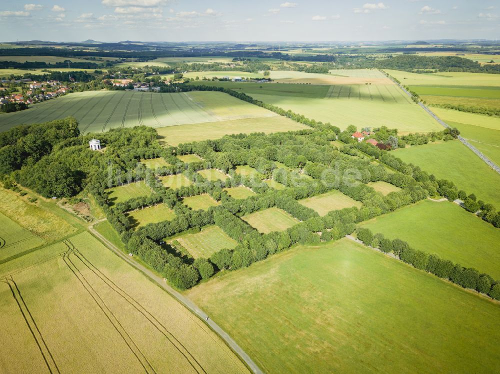 Herrnhut von oben - Baumreihe Herrnhuter Gottesacker an einem Feldrand in Herrnhut im Bundesland Sachsen, Deutschland