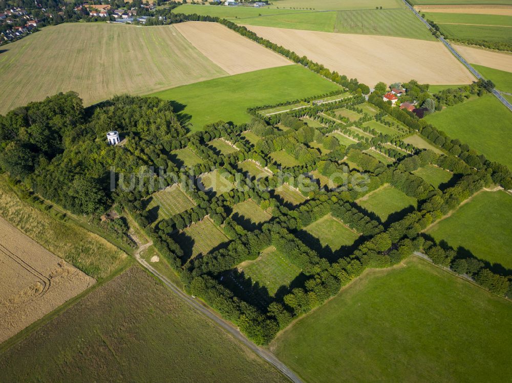 Luftaufnahme Herrnhut - Baumreihe Herrnhuter Gottesacker an einem Feldrand in Herrnhut im Bundesland Sachsen, Deutschland