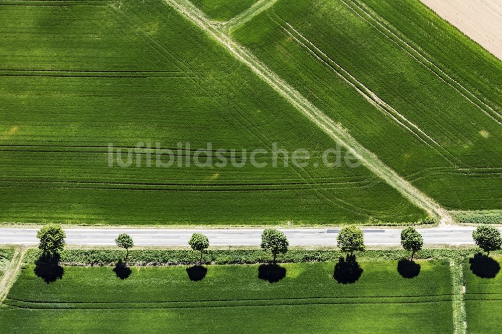 Luftbild Appenheim - Baumreihe an einer Landstraße an einem Feldrand in Appenheim im Bundesland Rheinland-Pfalz, Deutschland