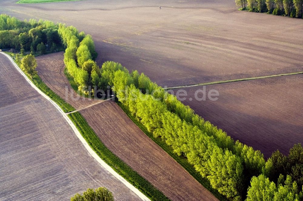 Luftbild Biblisheim - Baumreihe an einer Landstraße an einem Feldrand in Biblisheim in Grand Est, Frankreich