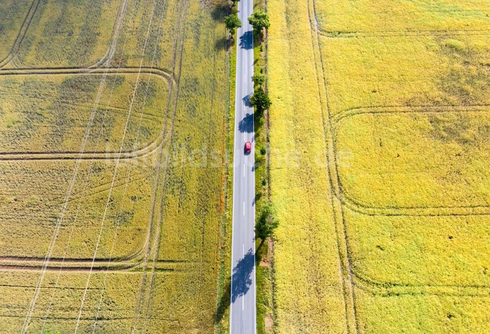 Luftbild Bobbau - Baumreihe an einer Landstraße an einem Feldrand in Bobbau im Bundesland Sachsen-Anhalt, Deutschland