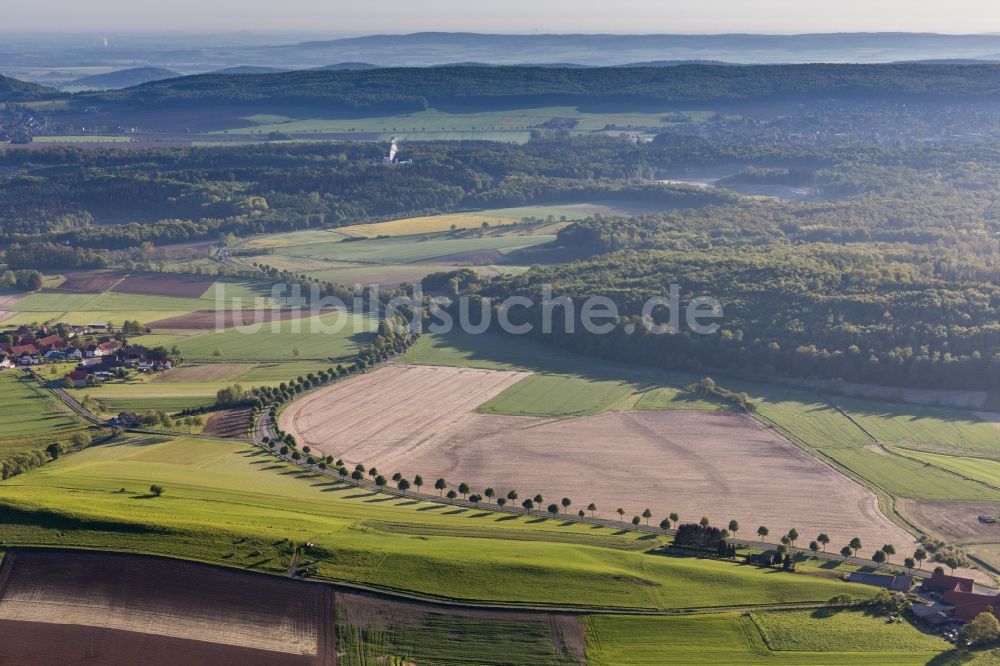 Capellenhagen von oben - Baumreihe an einer Landstraße an einem Feldrand in Capellenhagen im Bundesland Niedersachsen, Deutschland