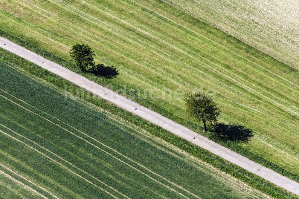 Luftaufnahme Feldatal - Baumreihe an einer Landstraße an einem Feldrand in Feldatal im Bundesland Hessen, Deutschland