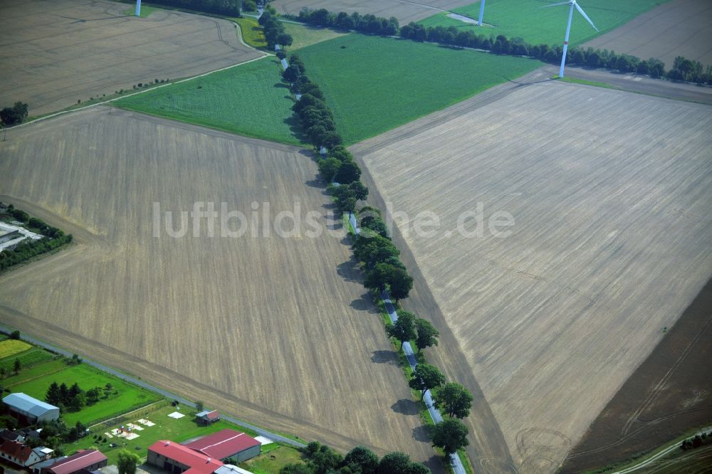 Beiersdorf-Freudenberg aus der Vogelperspektive: Baumreihe an einer Landstraße an einem Feldrand in der Gemeinde Beiersdorf-Freudenberg im Bundesland Brandenburg