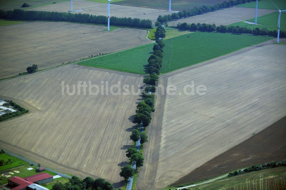 Luftbild Beiersdorf-Freudenberg - Baumreihe an einer Landstraße an einem Feldrand in der Gemeinde Beiersdorf-Freudenberg im Bundesland Brandenburg