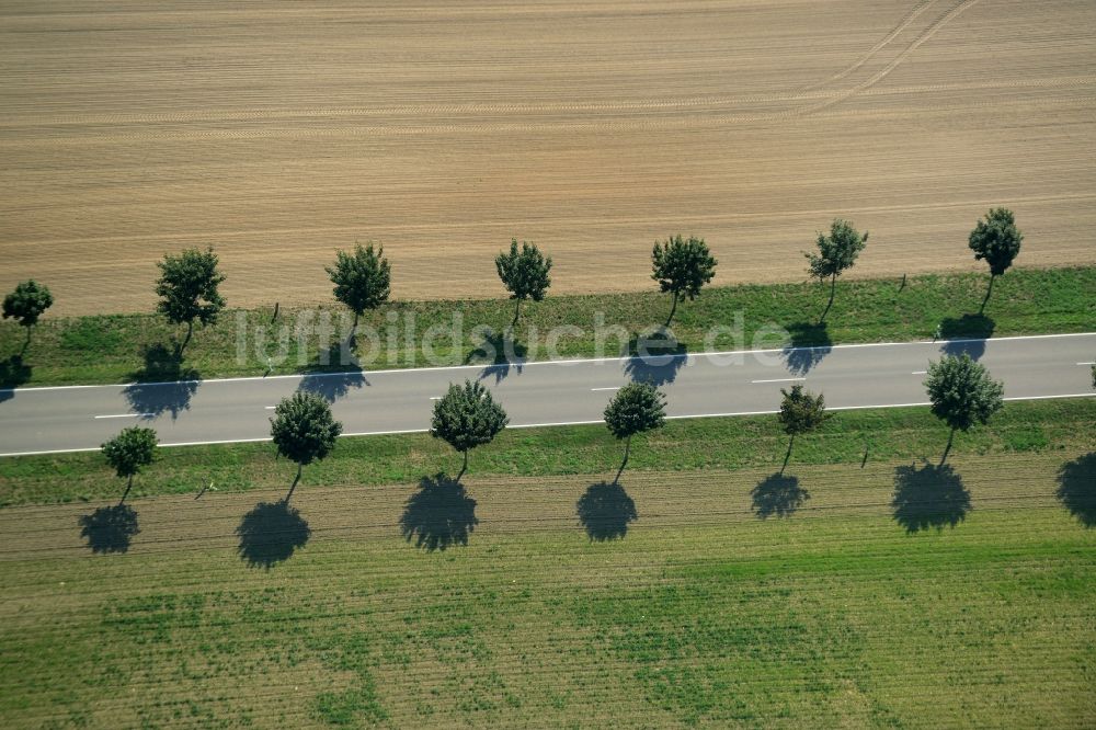 Hohenahlsdorf von oben - Baumreihe an der Landstraße L715 an einem Feldrand in Hohenahlsdorf im Bundesland Brandenburg