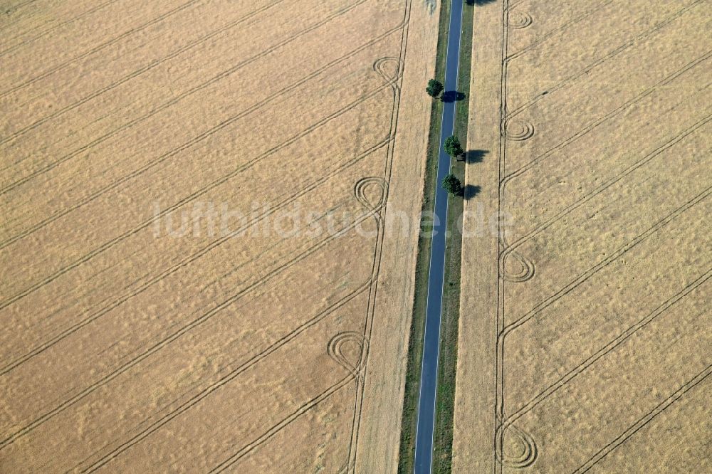 Luftaufnahme Köpernitz - Baumreihe an einer Landstraße an einem Feldrand in Köpernitz im Bundesland Brandenburg, Deutschland