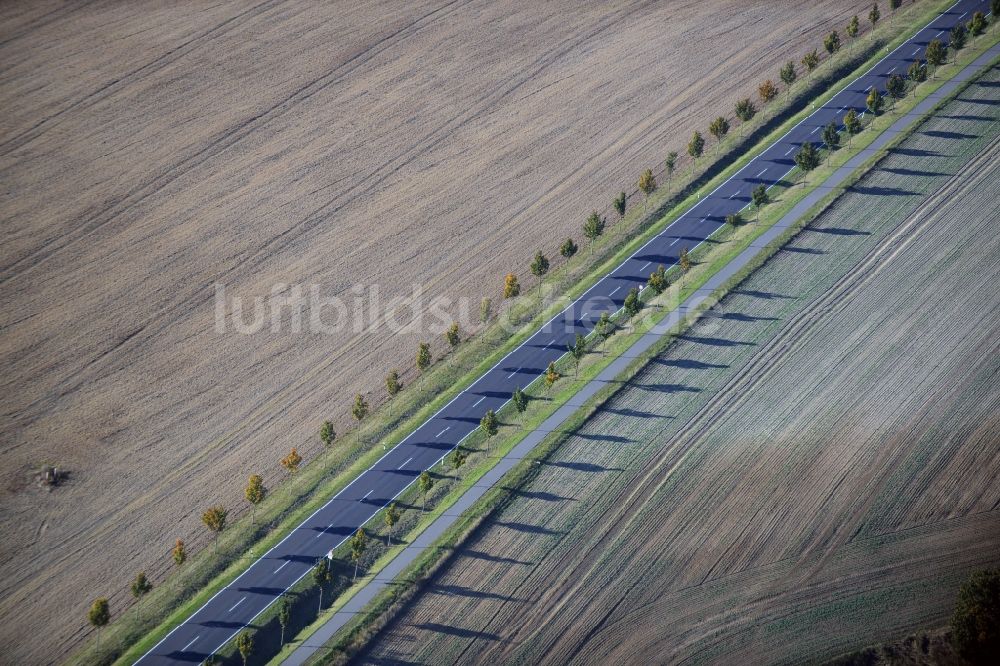 Luftbild Krummensee - Baumreihe an einer Landstraße an einem Feldrand in Krummensee im Bundesland Brandenburg