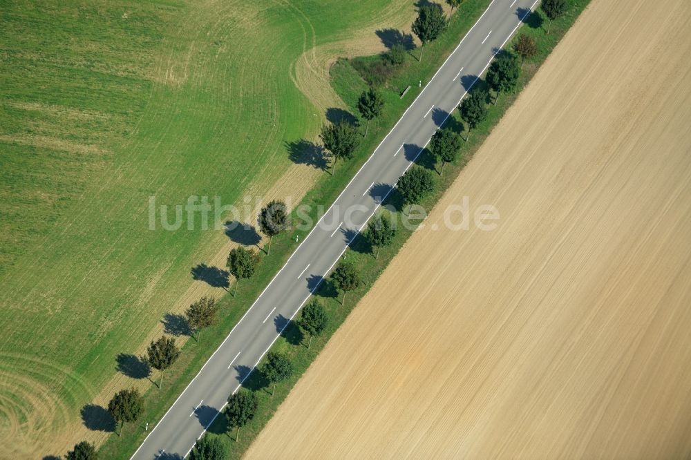 Langenlipsdorf von oben - Baumreihe an der Landstraße L715 an einem Feldrand in Langenlipsdorf im Bundesland Brandenburg