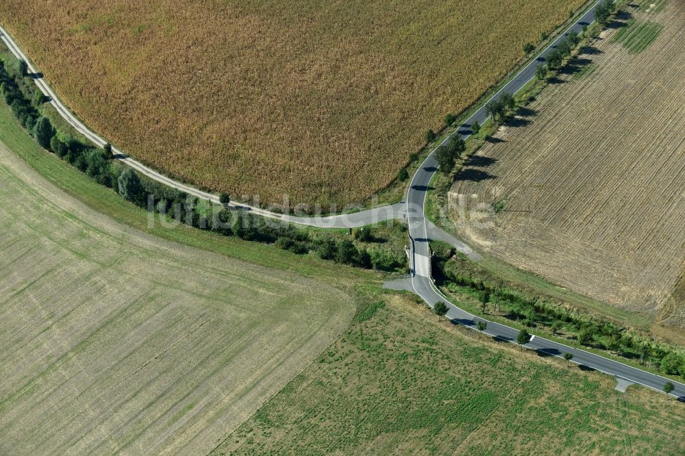 Luftaufnahme Melpitz - Baumreihe an einer Landstraße an einem Feldrand in Melpitz im Bundesland Sachsen