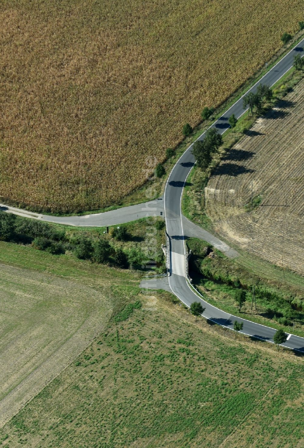 Melpitz von oben - Baumreihe an einer Landstraße an einem Feldrand in Melpitz im Bundesland Sachsen