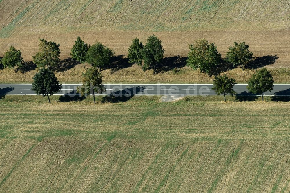 Luftbild Roda - Baumreihe an einer Landstraße an einem Feldrand nahe Roda im Bundesland Sachsen