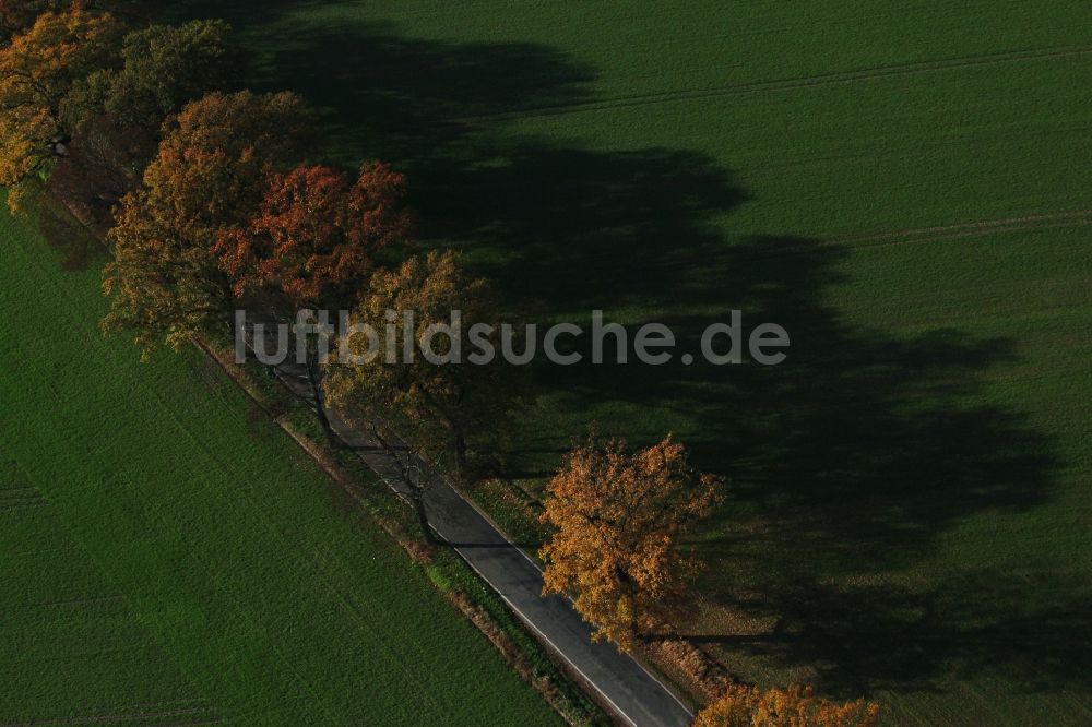 Luftaufnahme Nauen - Baumreihe an einer Landstraße an einem Feldrand im Ortsteil Markee in Nauen im Bundesland Brandenburg