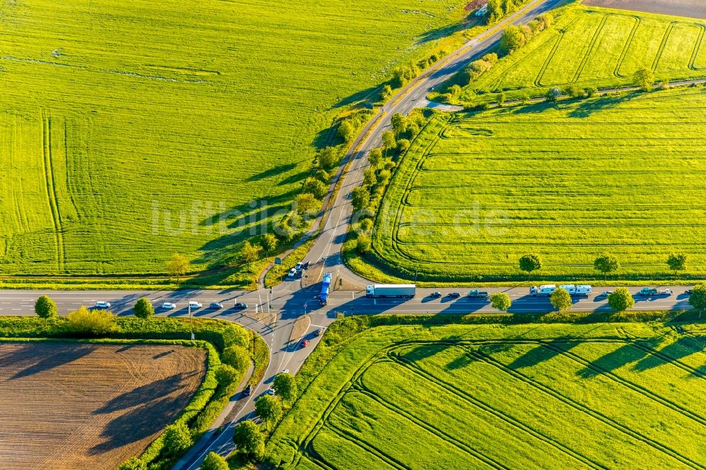 Luftbild Münster - Baumreihe an einer Landstraße an einem Feldrand im Ortsteil Ost in Münster im Bundesland Nordrhein-Westfalen, Deutschland