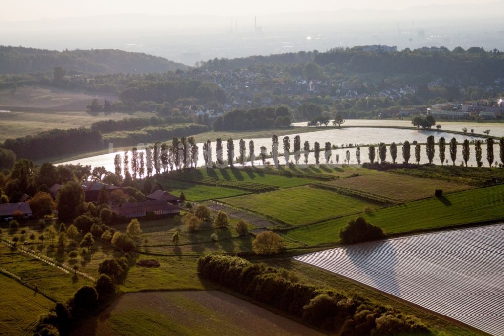 Luftbild Karlsruhe - Baumreihe an einer Landstraße an einem Feldrand im Ortsteil Thomashof, Hohenwettersbach in Karlsruhe im Bundesland Baden-Württemberg, Deutschland