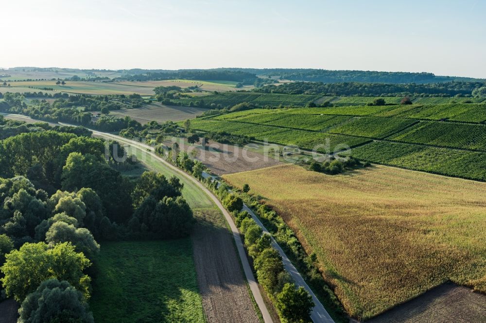 Sulzfeld von oben - Baumreihe an einer Landstraße an einem Feldrand in Sulzfeld im Bundesland Baden-Württemberg