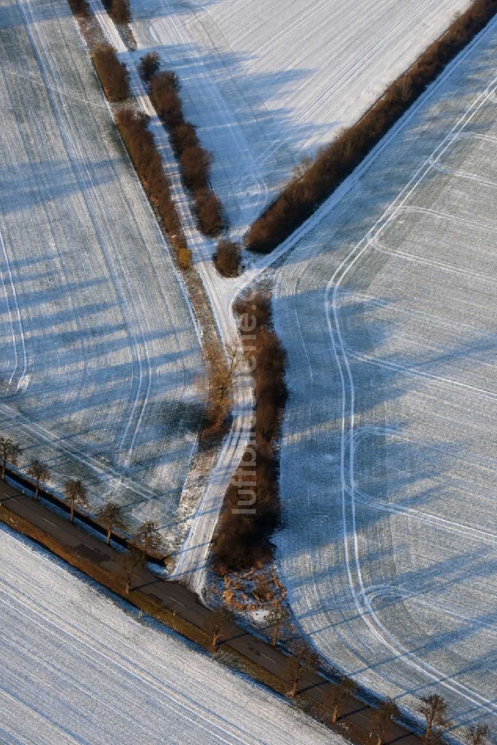 Ketzin von oben - Baumreihe an einer Landstraße an einem Feldrand in Tremmen im Bundesland Brandenburg