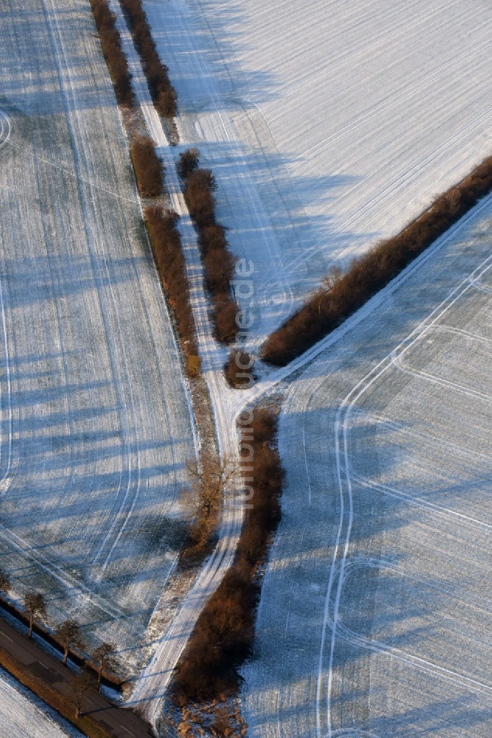 Ketzin aus der Vogelperspektive: Baumreihe an einer Landstraße an einem Feldrand in Tremmen im Bundesland Brandenburg