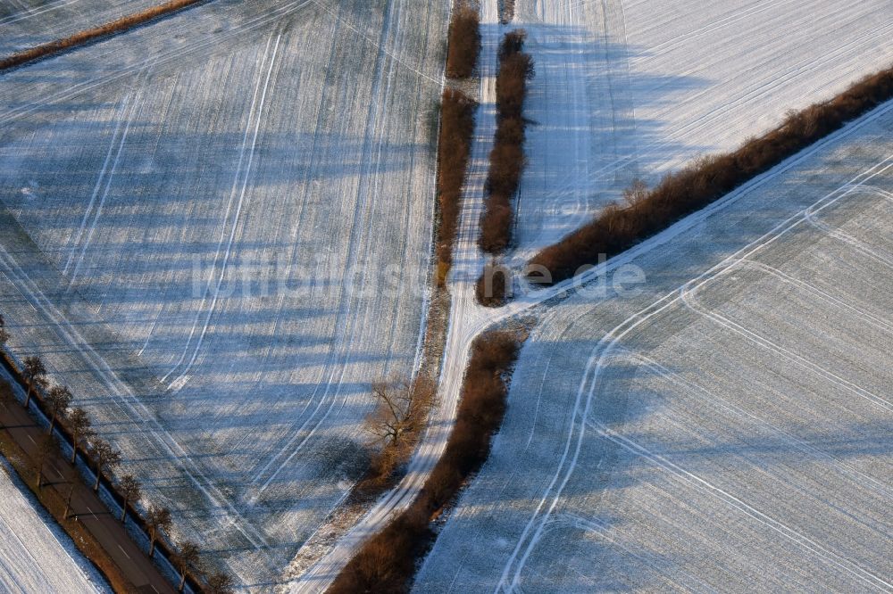 Luftbild Ketzin - Baumreihe an einer Landstraße an einem Feldrand in Tremmen im Bundesland Brandenburg