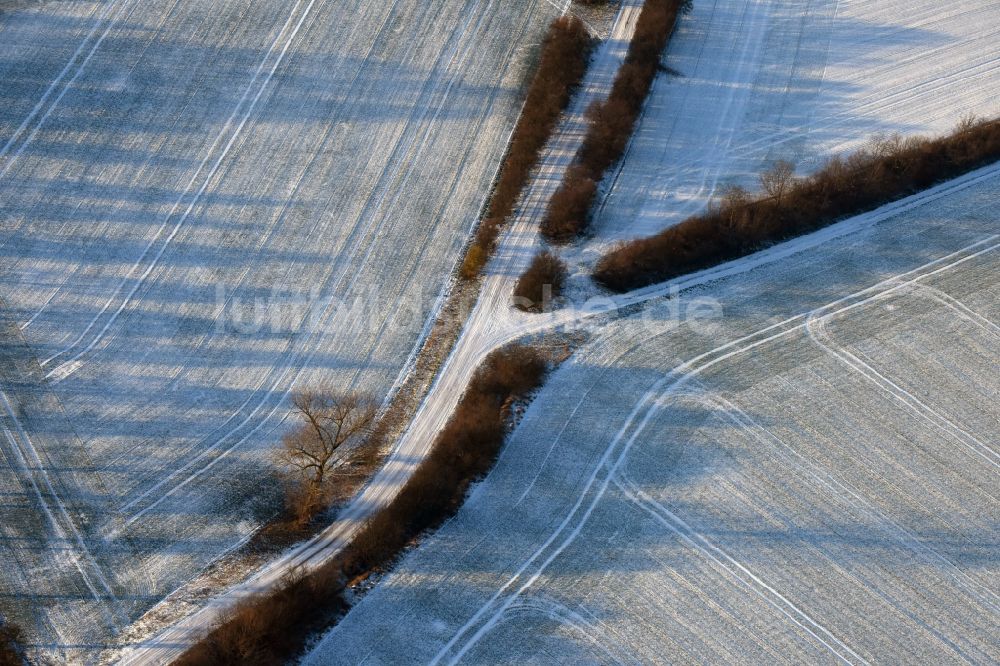 Luftaufnahme Ketzin - Baumreihe an einer Landstraße an einem Feldrand in Tremmen im Bundesland Brandenburg