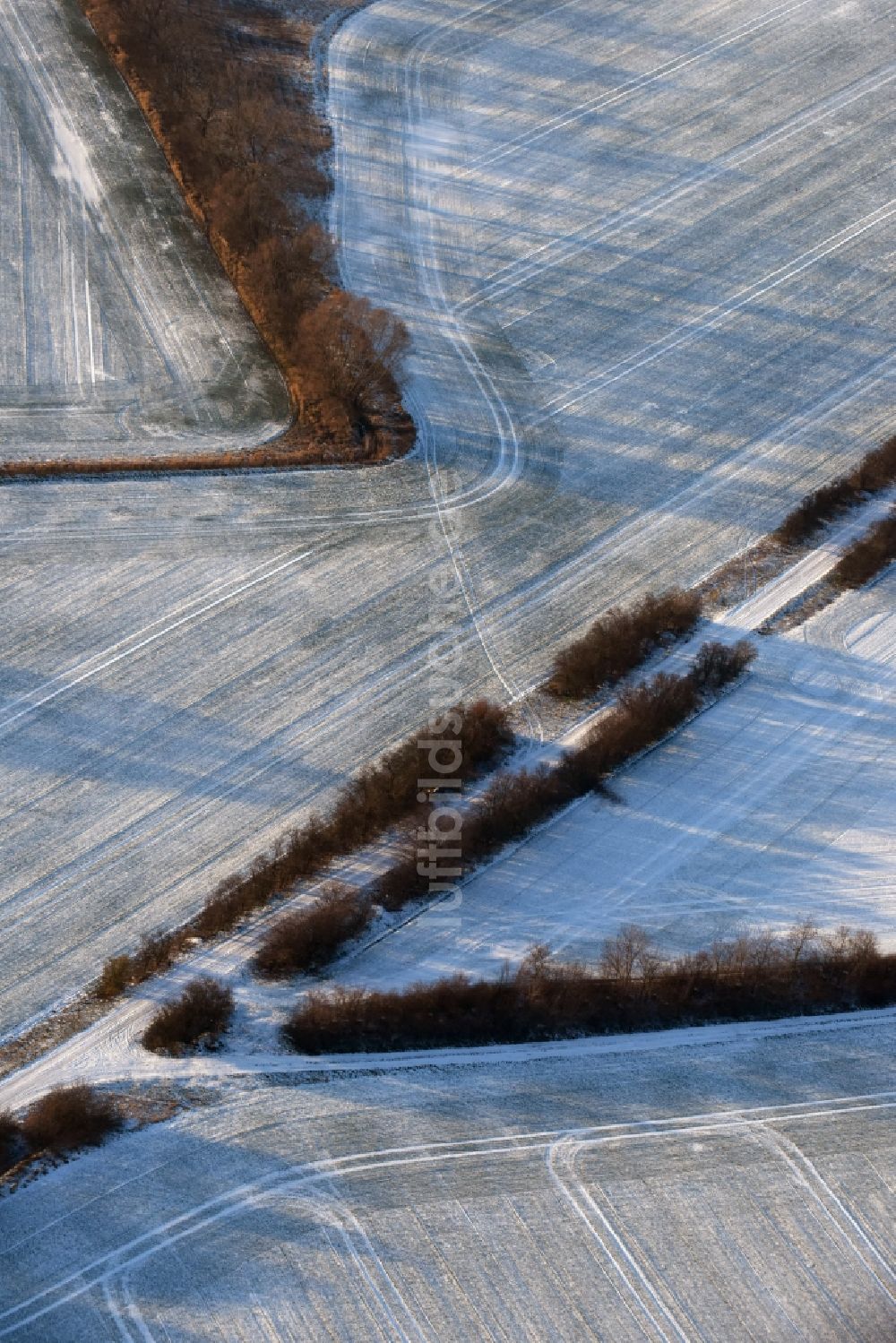 Luftbild Ketzin - Baumreihe an einer Landstraße an einem Feldrand in Tremmen im Bundesland Brandenburg