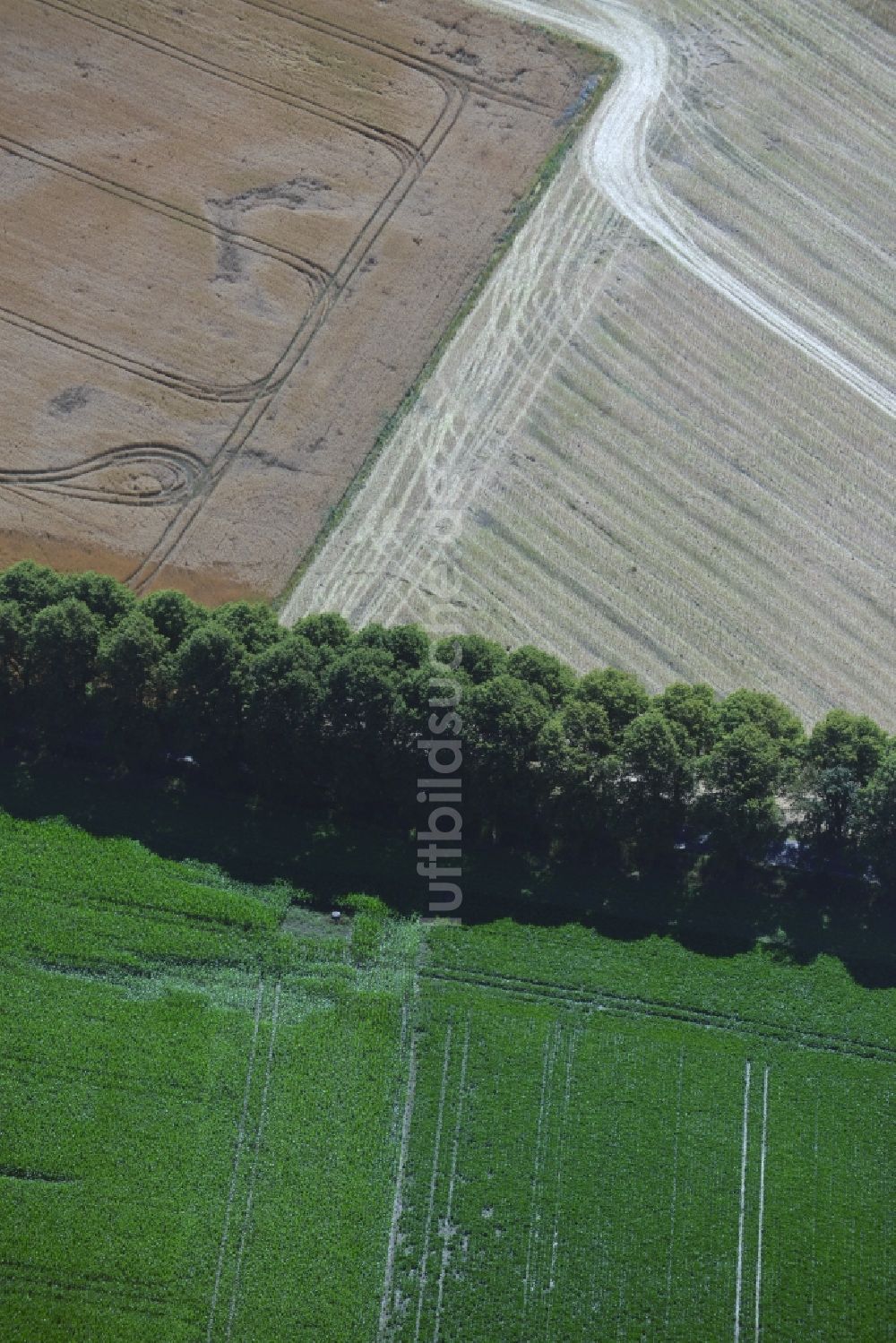 Luftaufnahme Waldeck - Baumreihe an einer Landstraße der B 103 an einem Feldrand in Waldeck im Bundesland Mecklenburg-Vorpommern