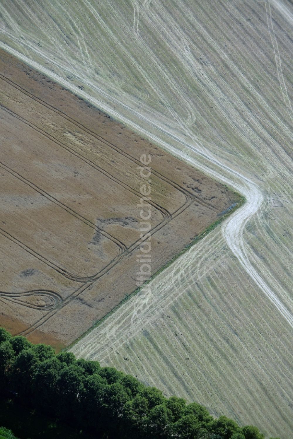 Waldeck von oben - Baumreihe an einer Landstraße der B 103 an einem Feldrand in Waldeck im Bundesland Mecklenburg-Vorpommern