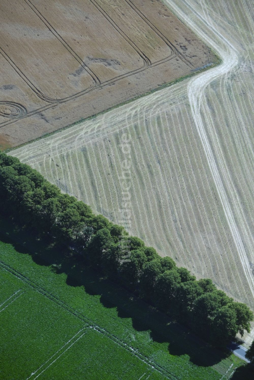 Waldeck aus der Vogelperspektive: Baumreihe an einer Landstraße der B 103 an einem Feldrand in Waldeck im Bundesland Mecklenburg-Vorpommern