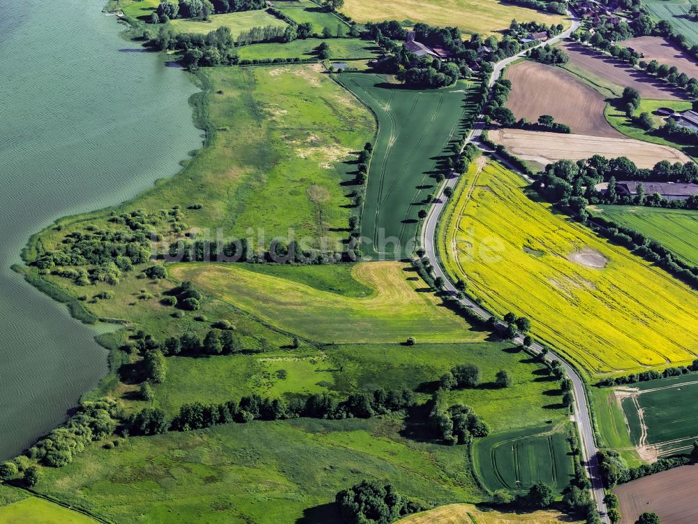 Luftbild Postfeld - Baumreihe an der Landstraße Honigkamp am Feldrand in Postfeld im Bundesland Schleswig-Holstein, Deutschland