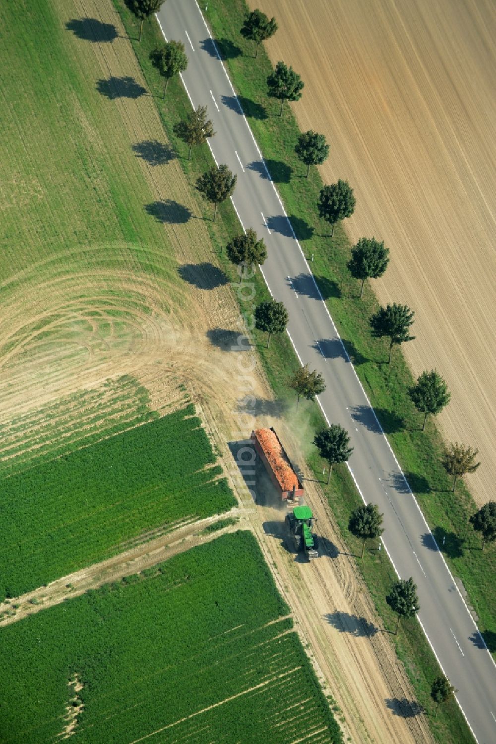 Luftbild Langenlipsdorf - Baumreihe und Traktor an der Landstraße L715 an einem Feldrand in Langenlipsdorf im Bundesland Brandenburg