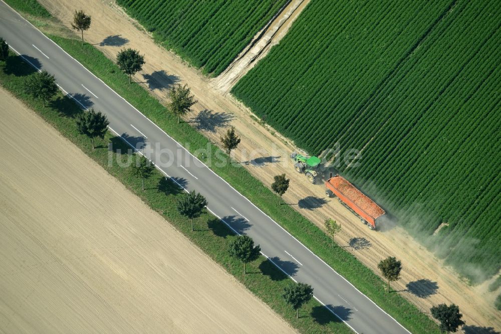 Luftaufnahme Langenlipsdorf - Baumreihe und Traktor an der Landstraße L715 an einem Feldrand in Langenlipsdorf im Bundesland Brandenburg