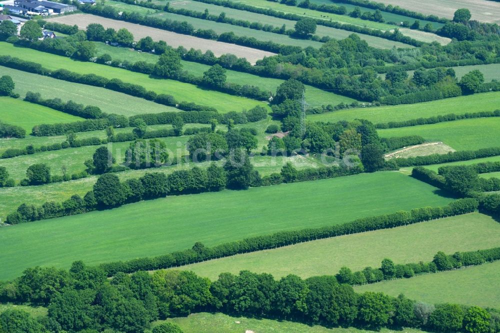 Luftaufnahme Mözen - Baumreihen an einem Feldrand in Mözen im Bundesland Schleswig-Holstein, Deutschland