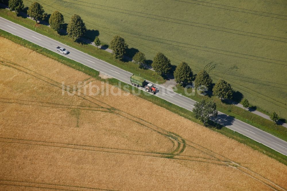 Luftbild Herzebrock-Clarholz - Baumreihen entlang einer Landstraße bei Herzebrock-Clarholz im Bundesland Nordrhein-Westfalen