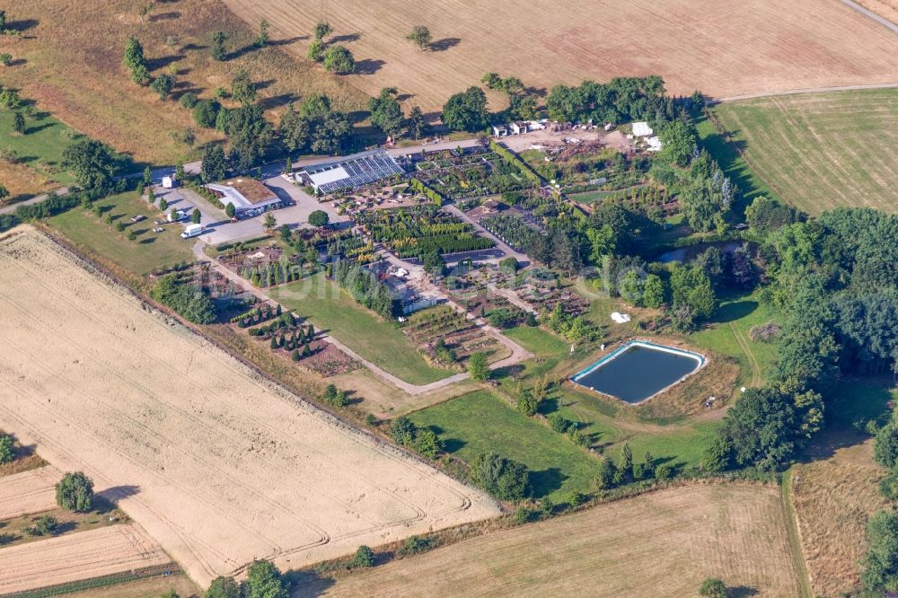 Neuhausen aus der Vogelperspektive: Baumreihen auf Feldern der Baumschule Erhardt in Neuhausen im Bundesland Baden-Württemberg, Deutschland