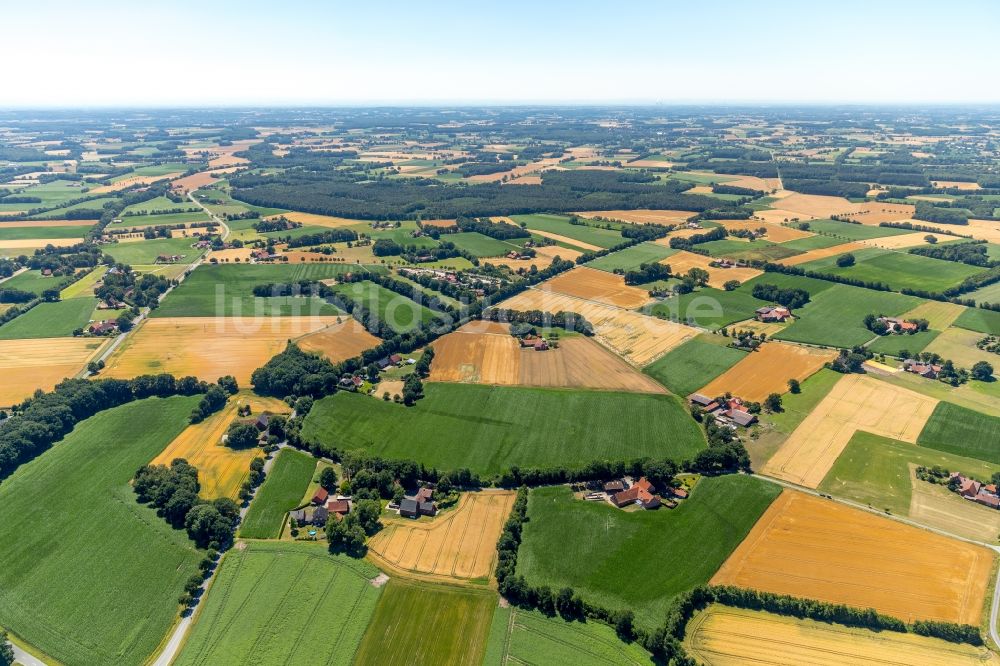 Kiebitzheide aus der Vogelperspektive: Baumreihen auf Feldern bei Kiebitzheide im Bundesland Nordrhein-Westfalen, Deutschland