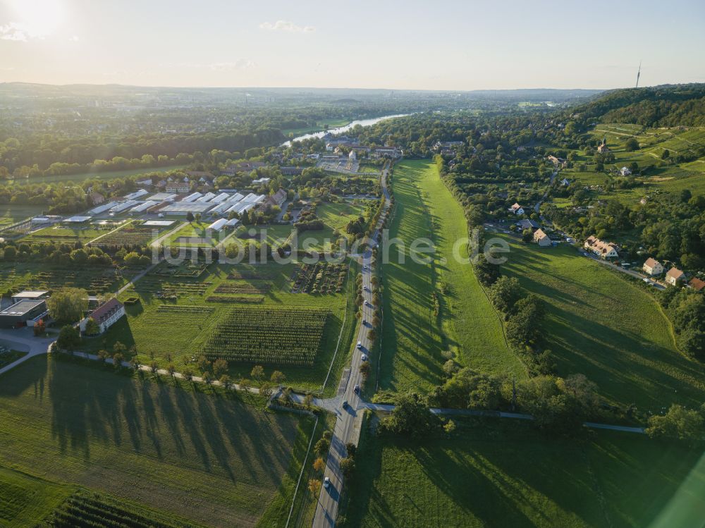 Luftaufnahme Dresden - Baumreihen auf Feldern Überbetriebliche Ausbildungsstätte für Gärtner (ÜBA) in Dresden im Bundesland Sachsen, Deutschland