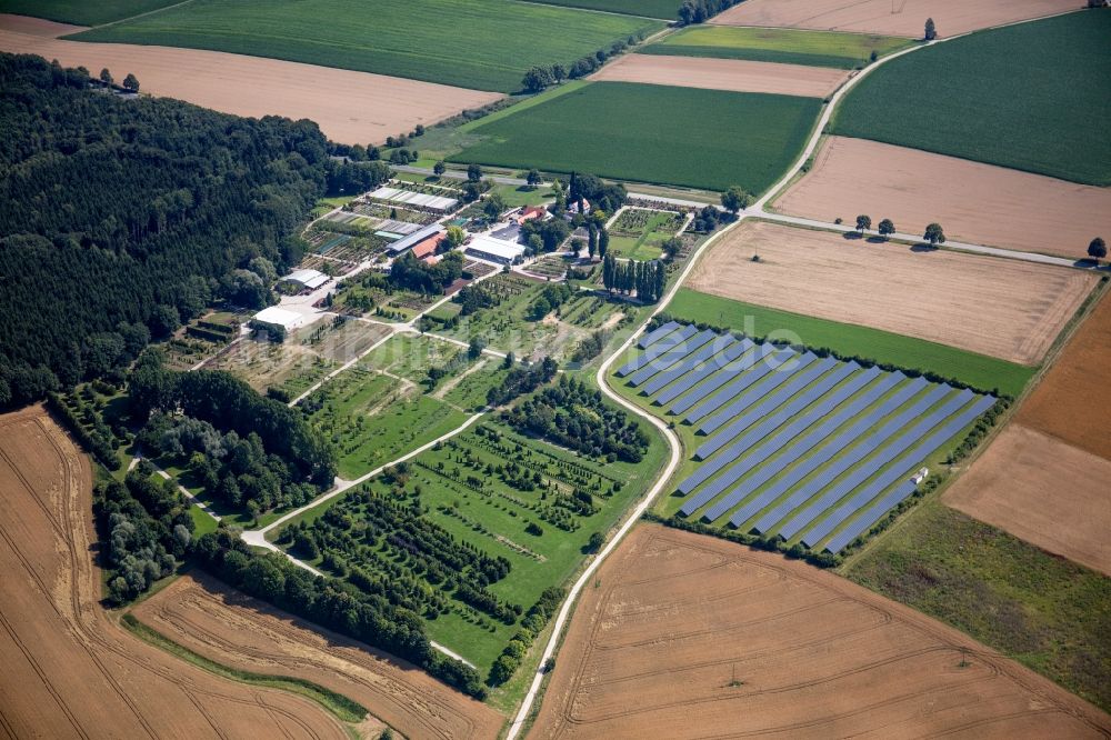 Fahrenzhausen aus der Vogelperspektive: Baumreihen auf Feldern Fischer´s Baum- und Rosenschulen in Fahrenzhausen im Bundesland Bayern, Deutschland