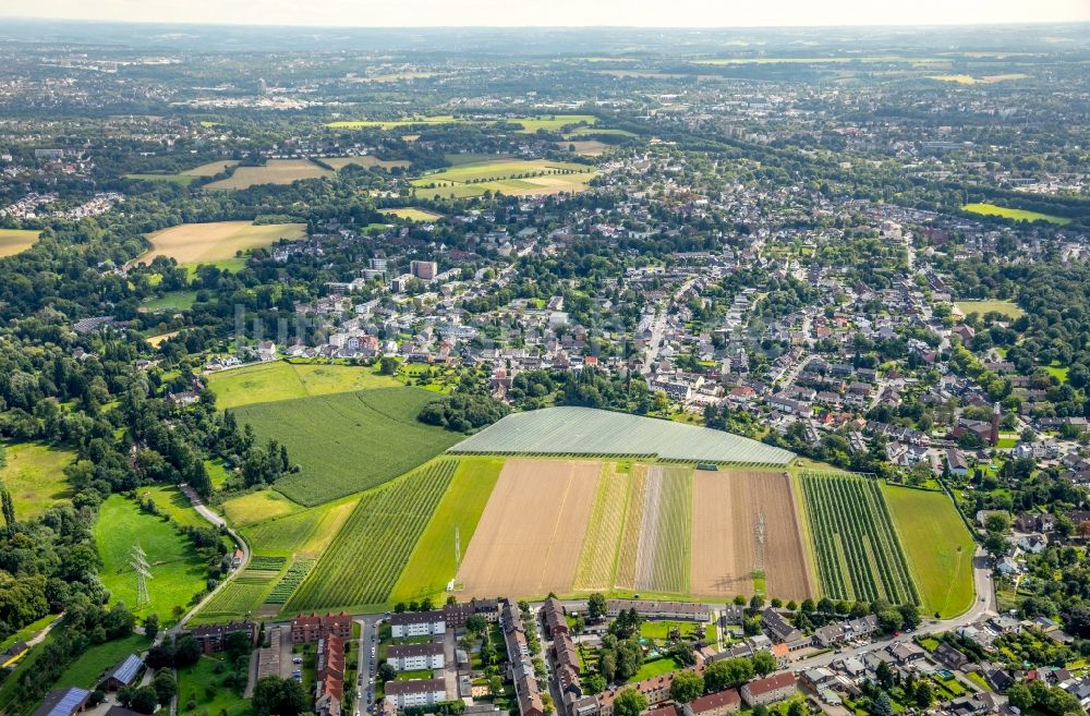 Luftbild Oberhausen - Baumreihen auf Feldern des in Oberhausen im Bundesland Nordrhein-Westfalen - NRW, Deutschland