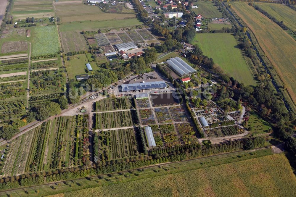 Luftaufnahme Schönefeld - Baumreihen auf Feldern des in Schönefeld im Bundesland Brandenburg, Deutschland