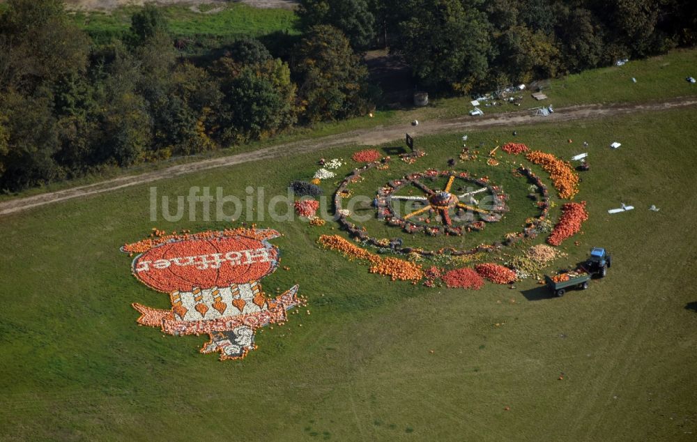 Schönefeld von oben - Baumreihen auf Feldern des in Schönefeld im Bundesland Brandenburg, Deutschland