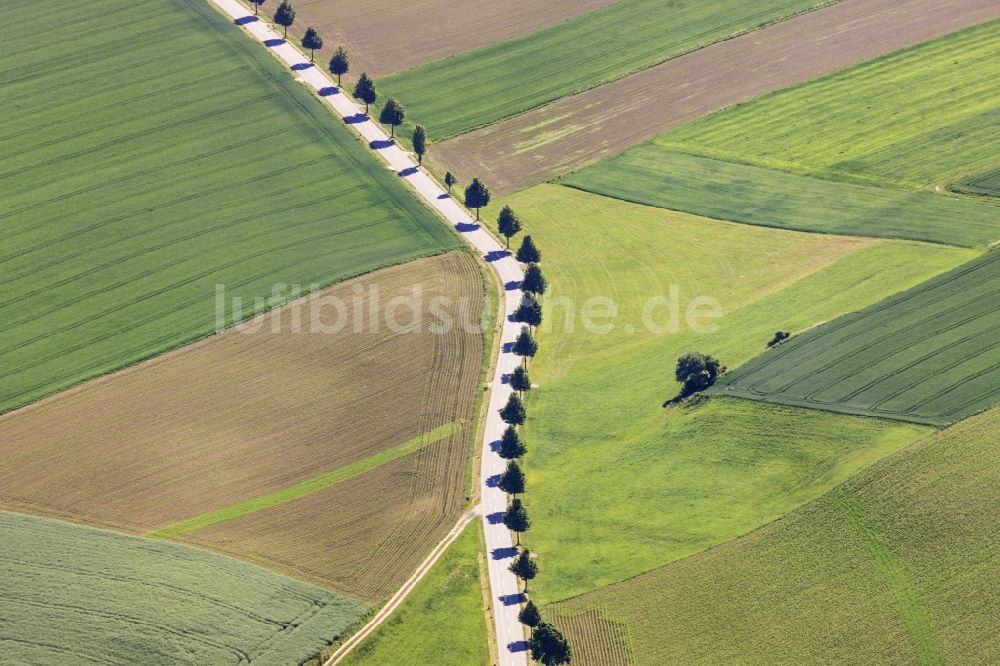 Schwindegg aus der Vogelperspektive: Baumreihen- Landschaft entlang einer Straße am Ortsteil Walkersaich in Schwindegg im Bundesland Bayern