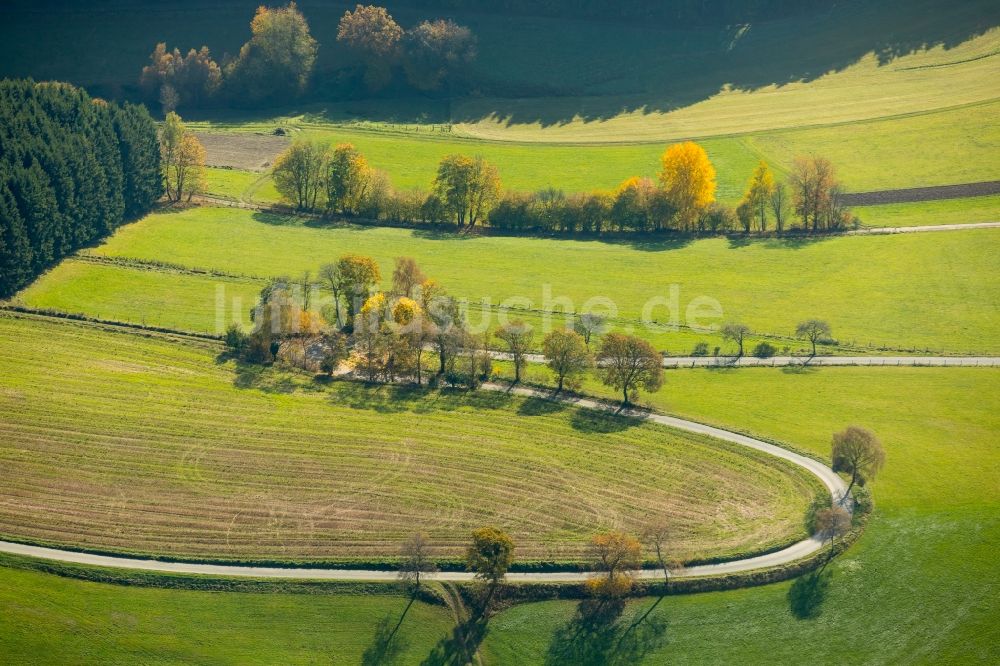 Luftbild Bad Berleburg - Baumreihen an einer Landstraße an einem Feldrand im Ortsteil Girkhausen in Bad Berleburg im Bundesland Nordrhein-Westfalen, Deutschland