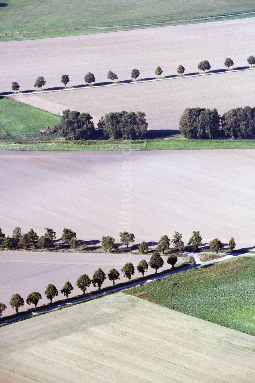 Luftbild Bregenstedt - Baumreihen an Landstraßen an Feldrändern in Bregenstedt im Bundesland Sachsen-Anhalt