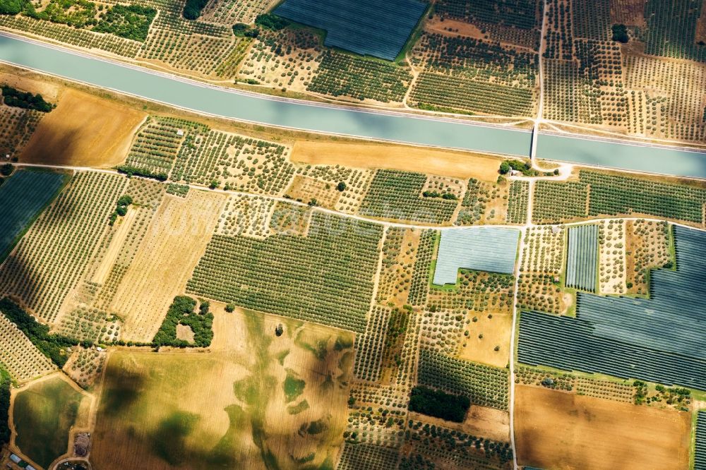 Peyruis aus der Vogelperspektive: Baumreihen einer Obstanbau- Plantage auf einem Feld in Peyruis in Provence-Alpes-Cote d'Azur, Frankreich