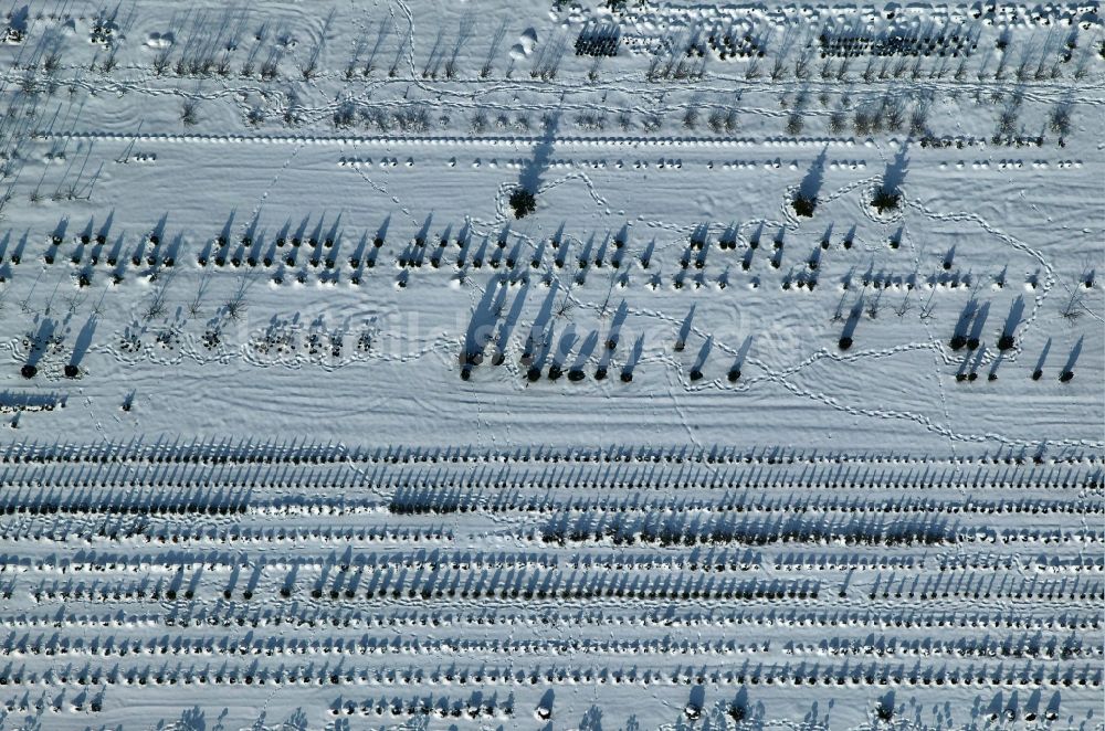 Luftbild Aalen - Baumreihen im Schnee in Aalen im Bundesland Baden-Württemberg