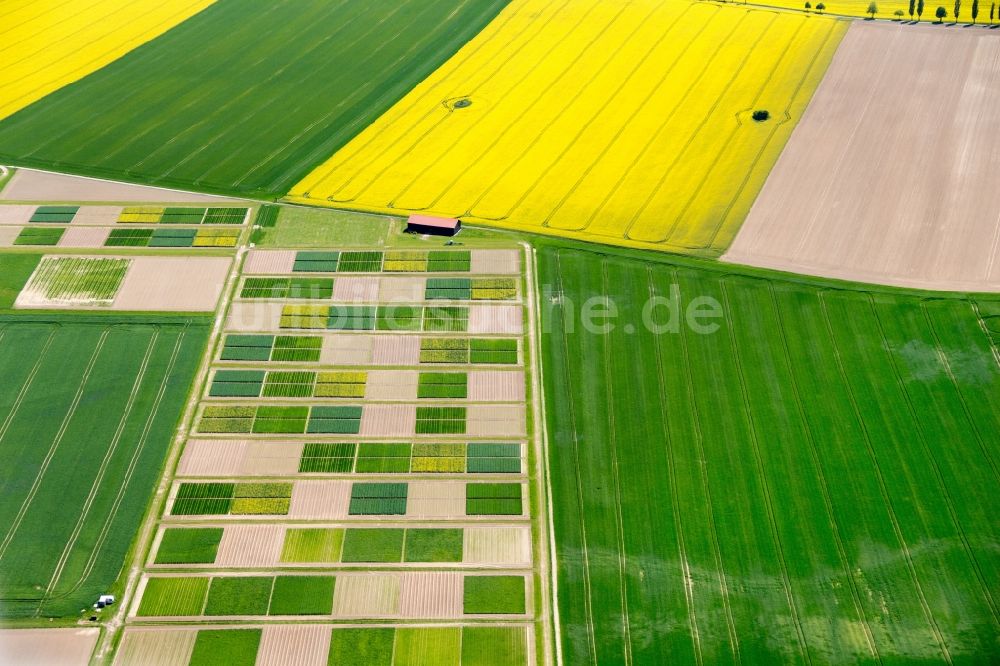 Bad Belzig aus der Vogelperspektive: Baumschule bei Dahnsdorf Planetal in Bad Belzig im Bundesland Brandenburg, Deutschland